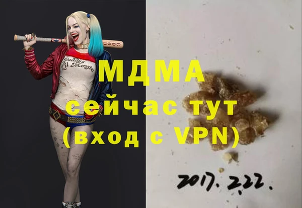 индика Абаза