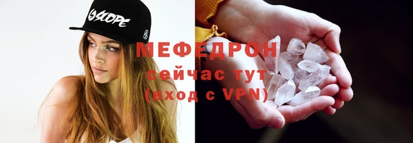 индика Абаза