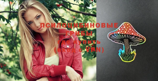 индика Абаза