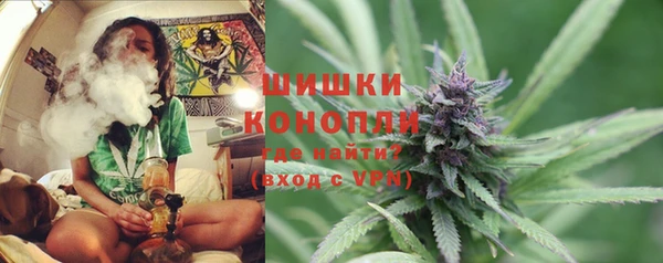 индика Абаза