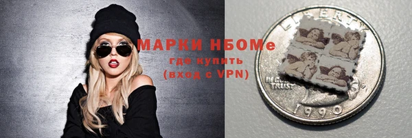 индика Абаза