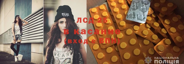 индика Абаза