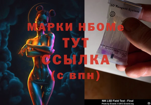 индика Абаза