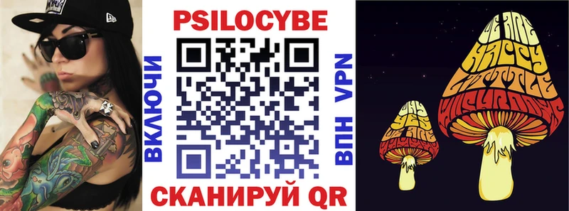 даркнет как зайти  OMG зеркало  Новочебоксарск  Псилоцибиновые грибы Psilocybine cubensis 