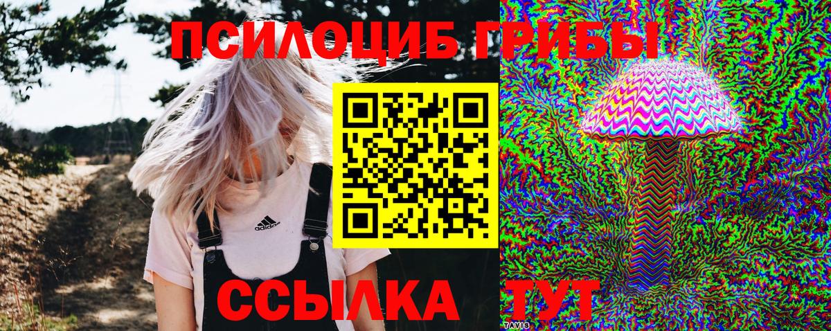Галлюциногенные грибы Psilocybine cubensis Новочебоксарск
