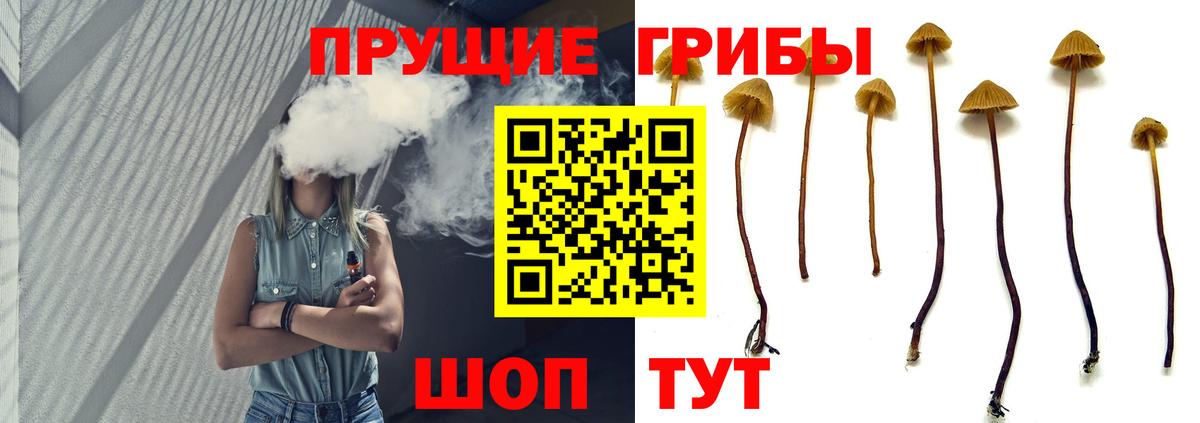 Псилоцибиновые грибы Cubensis  Вход с VPN  Новочебоксарск 